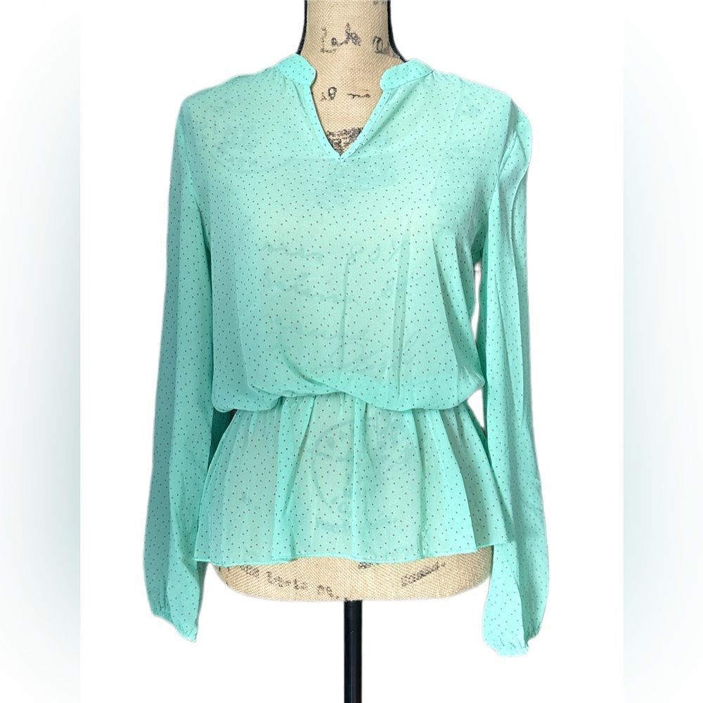 Francesca’s Collection Mint Green Polka Dot Sheer Top, Long Sleeves, Size Small‎